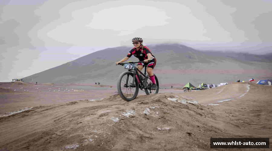 bsports官网拥抱挑战，成就辉煌！